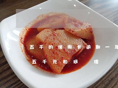 五千的信用卡逾期一年，信用卡逾期一年，欠款五千元，如何處理？
